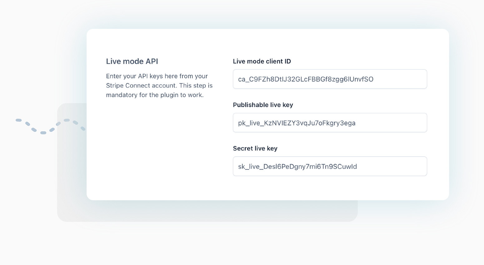 Stripe Connect account