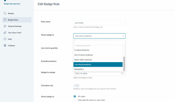 Badge rule - product assignment