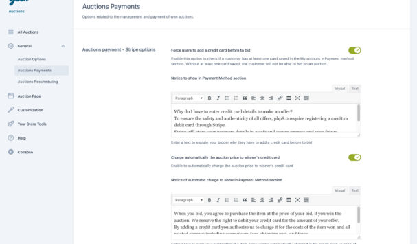 Auction payment - Stripe options