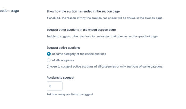 Auction page - Ended auction