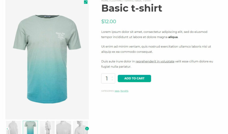 Gallery slider with opacity and grey scale on inactive thumbnails