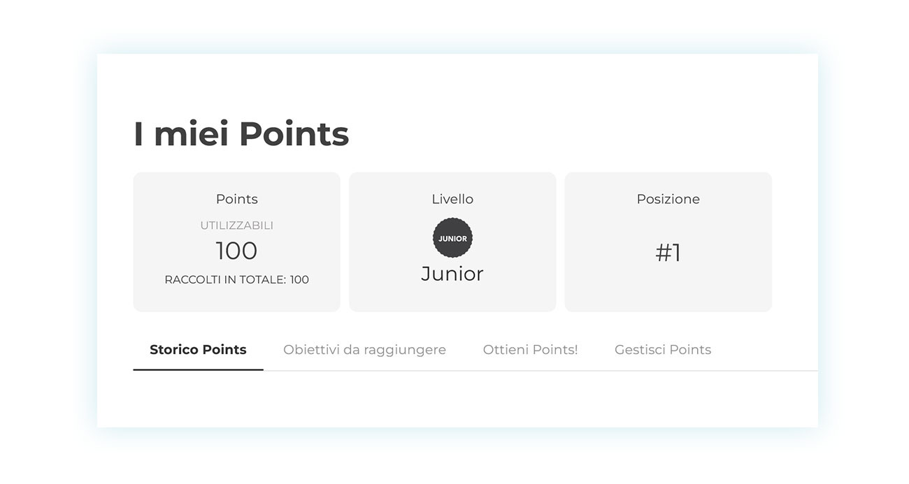 Punti riportati nella pagina account del cliente