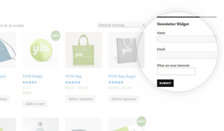 Widget subscription form